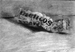mentos1
