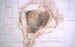 Nude20