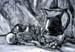 StillLife10