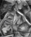 StillLife18