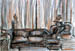 StillLife8